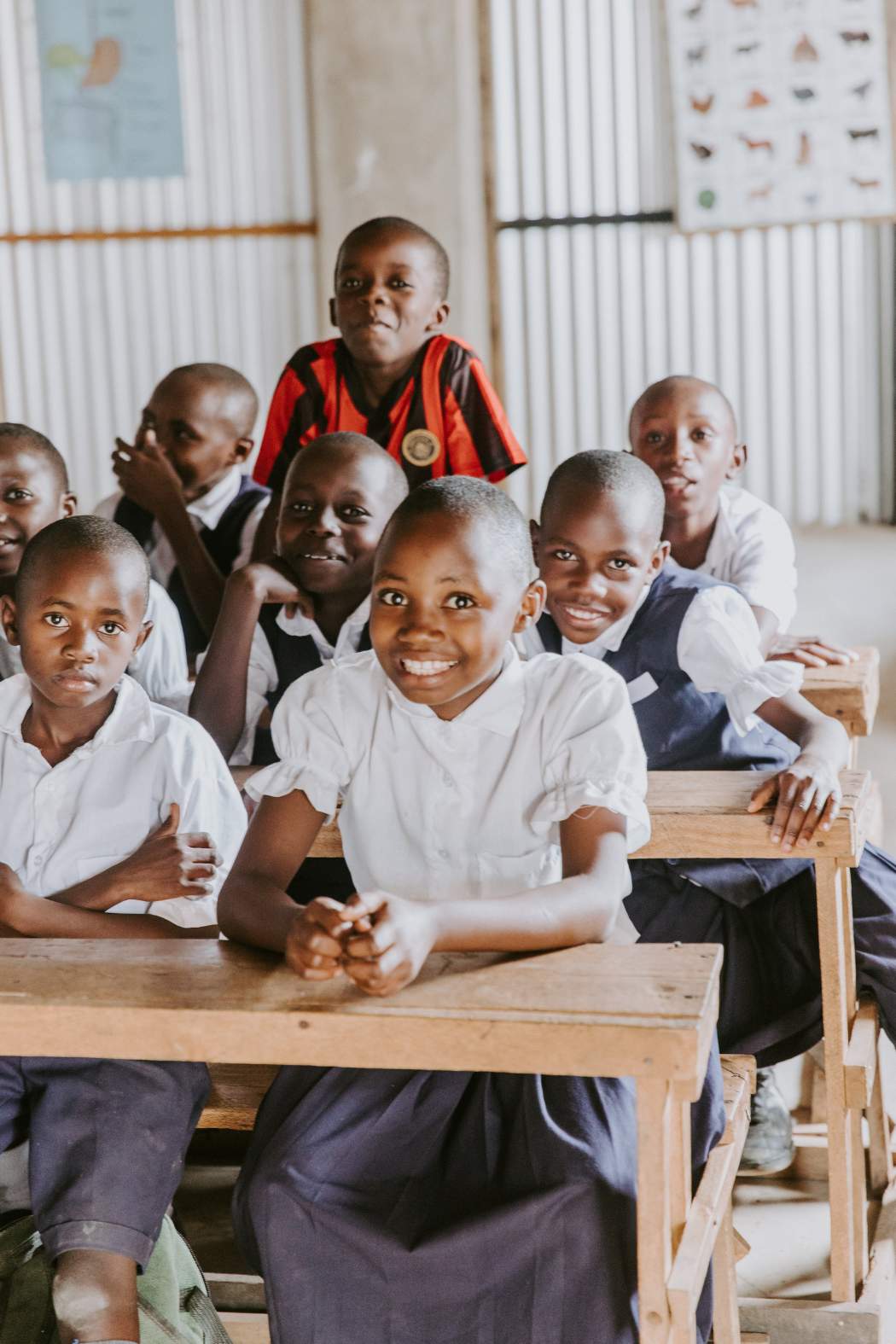 Education Support Image